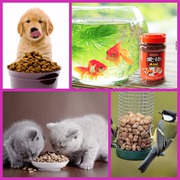 Pet Accessories Online - Low Prices on Popular Products,  india