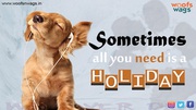 Best Online Pet Supplies Store in India | Woofsnwags.in