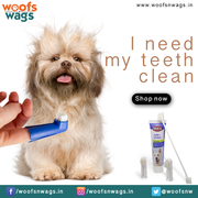 Best Online Pet Supplies Store in India | Woofsnwags.in - Pet supplies
