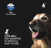 Get 40% off on Lova Bell Dogs Dry Shampoo Powder + Conditioner Spray C