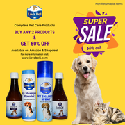 SPECIAL OFFER – Buy 2 and get discounts up to 60% on any Lova Bell’s P