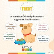Buy Wet & Dry Dog food Online at Best Price- Petoly